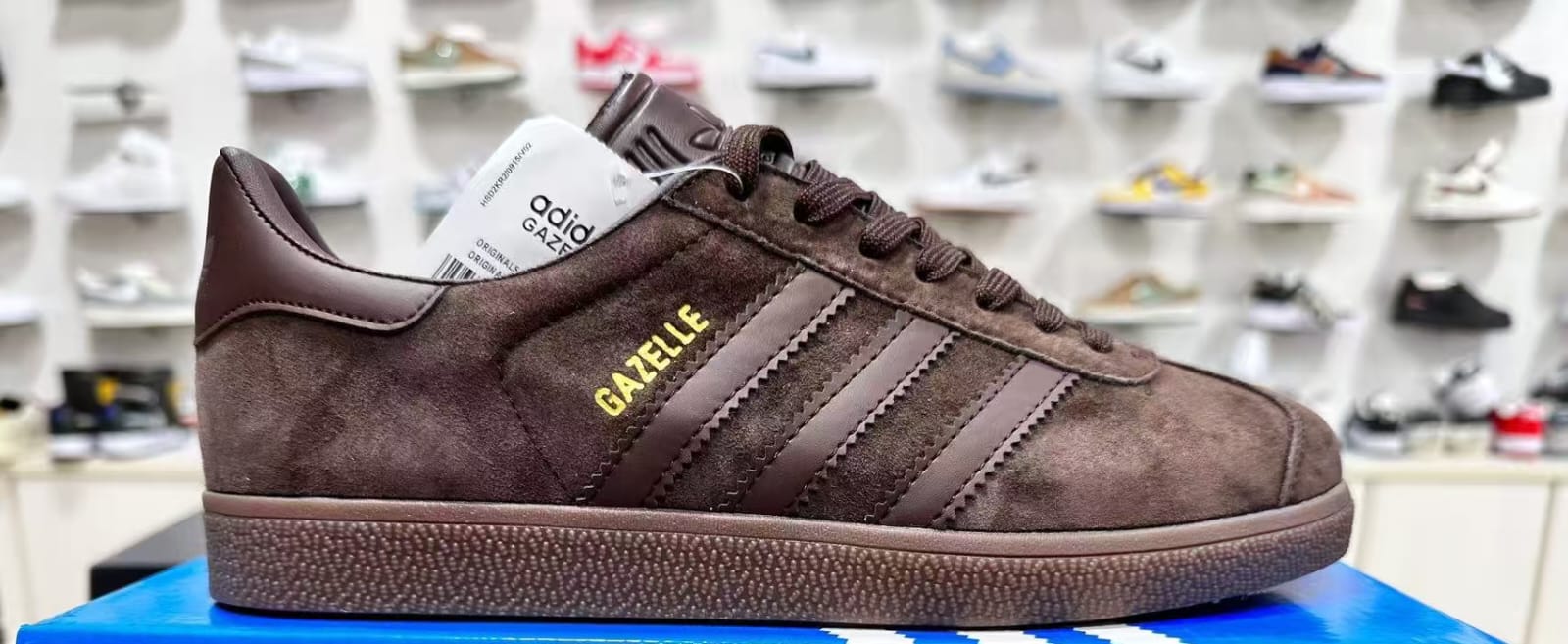 Adidas Gazelle in Kenya, Uganda, Congo, Rwanda and Tanzania - Image 3